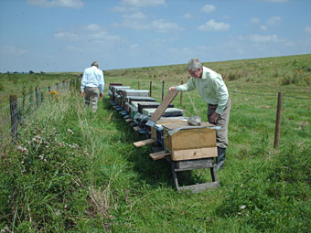 Imkers bij bijenkorven